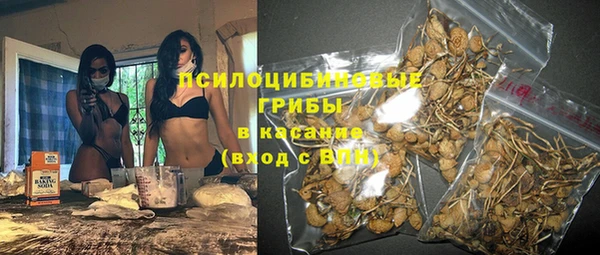 МДПВ Покровск