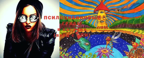 МДПВ Покровск
