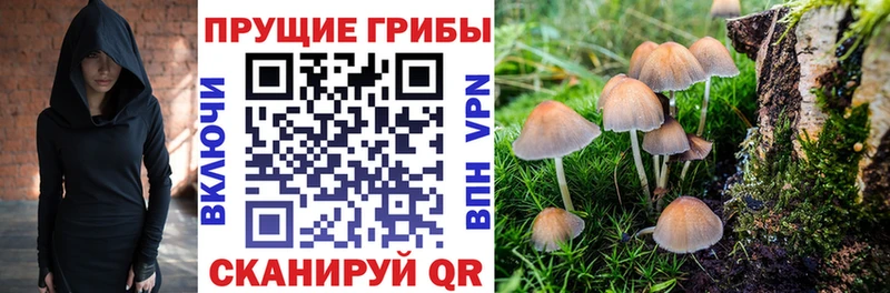 продажа наркотиков  Руза  Галлюциногенные грибы ЛСД 